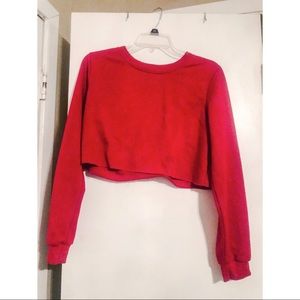 Long sleeve crop top